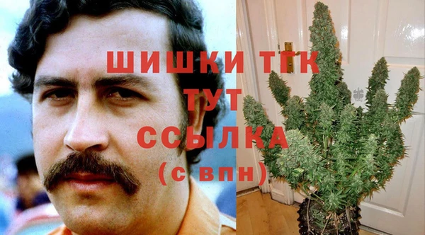МДПВ Нея