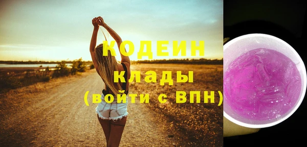 МДПВ Нея