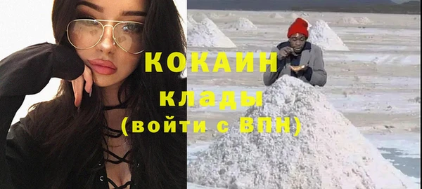 МДПВ Нея