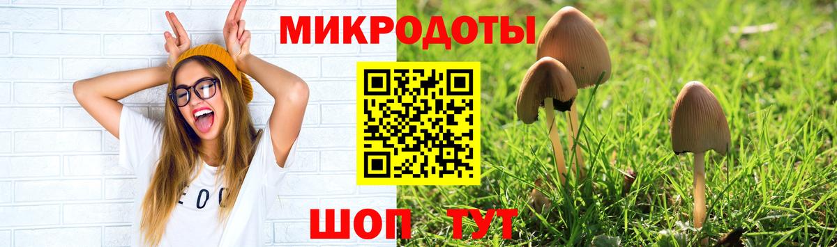 Галлюциногенные грибы Psilocybe  Вход с VPN  Южноуральск 