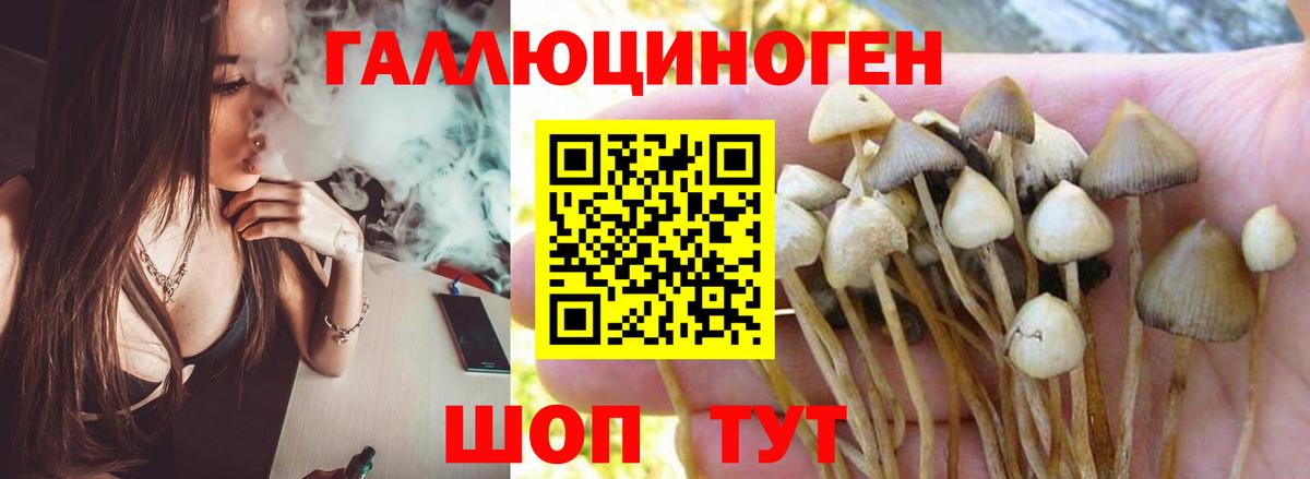 Псилоцибиновые грибы мицелий Южноуральск